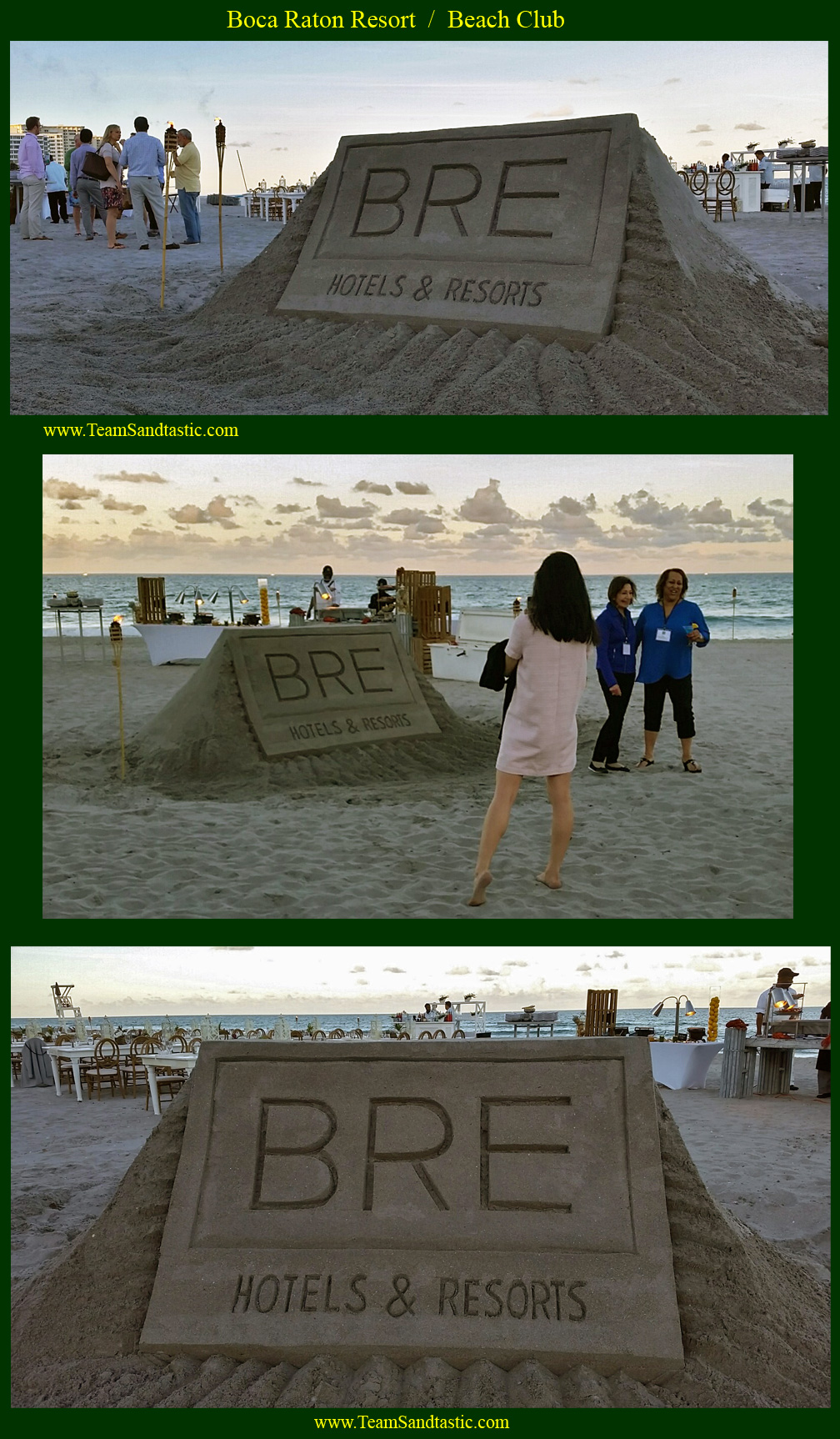 Professional Sand Sculpture