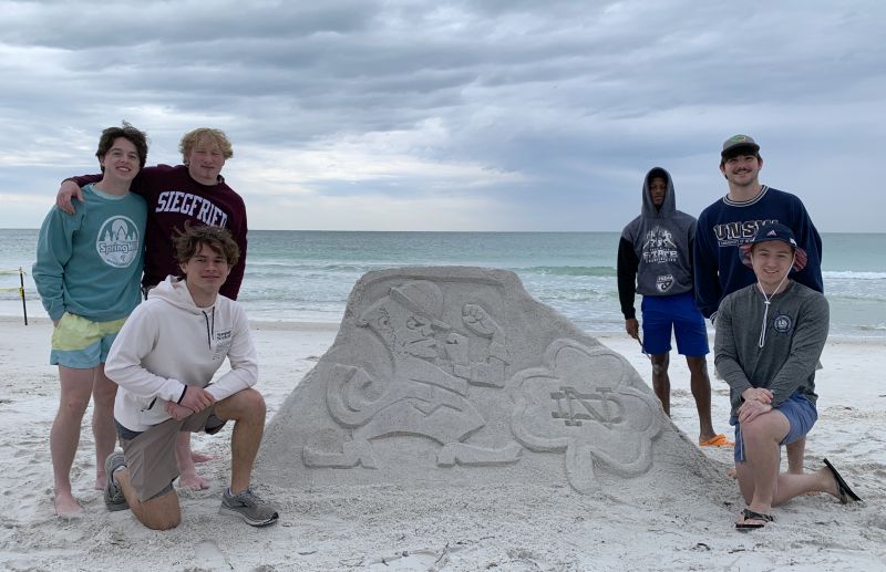 Professional Sand Sculpture