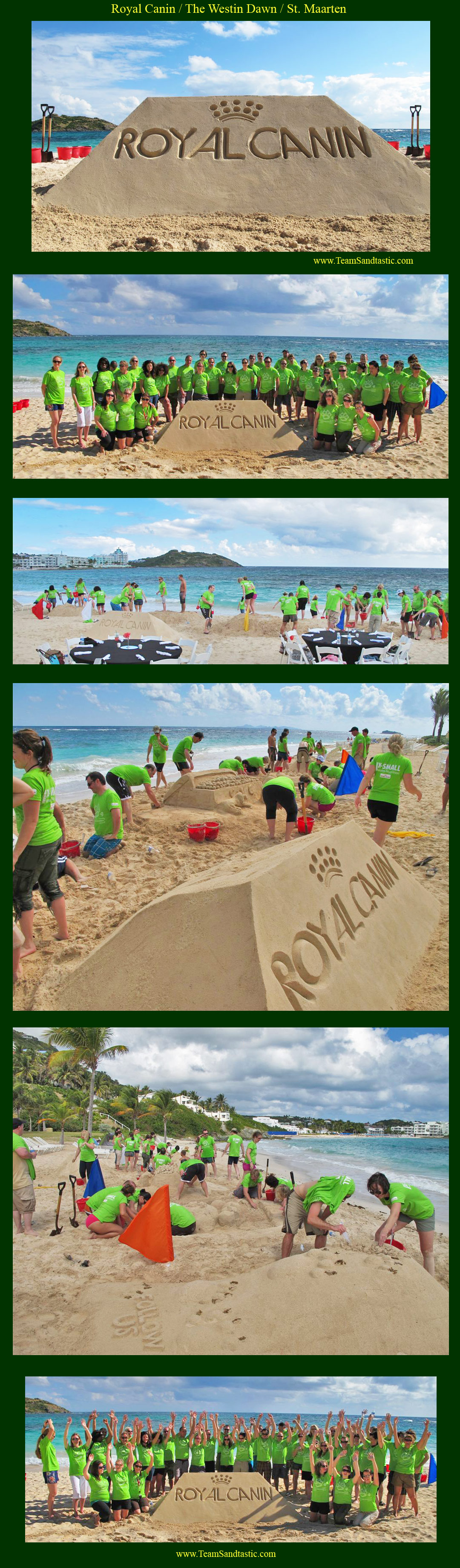 St. Maarten Sand Sculpture